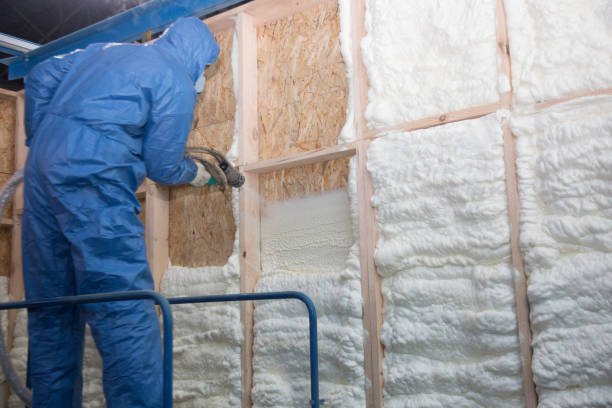 Best Attic Insulation Installation in USA